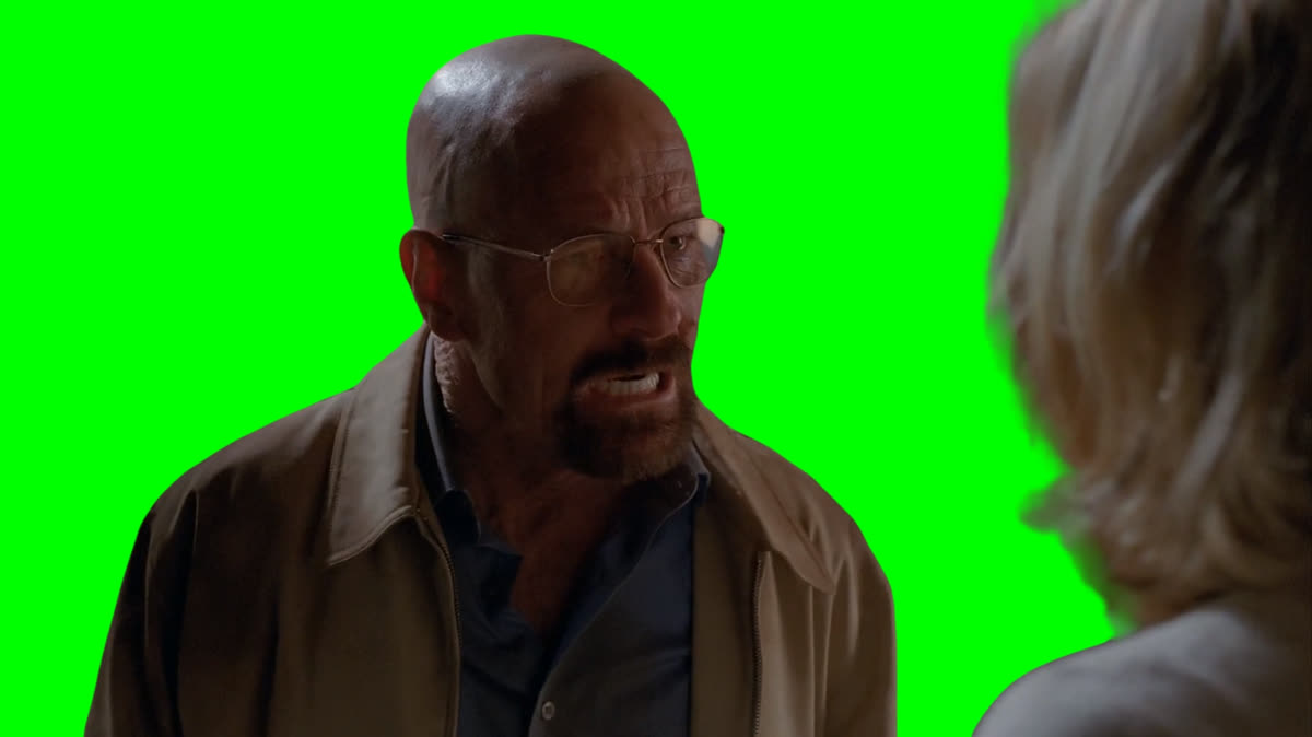 Walter White "I TRIED TO SAVE HIM!" meme - Breaking Bad (Green Screen)