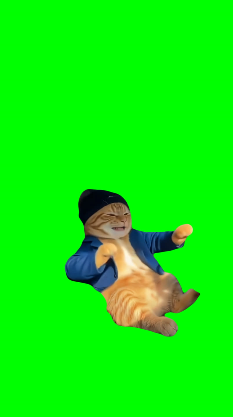 Cat with Beanie and Blue Jacket Dancing in Car meme (Green Screen)