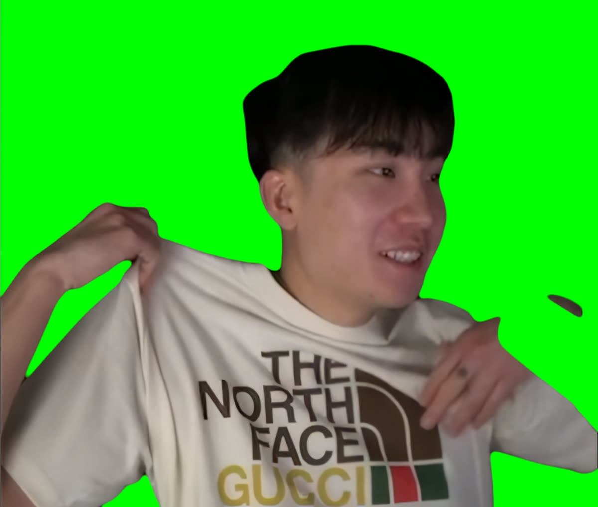 Ricegum Wearing North Face Gucci meme  (Green Screen)