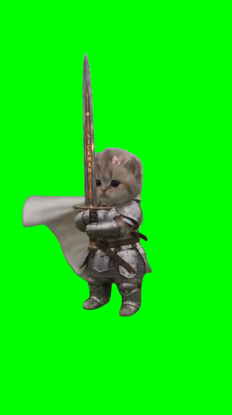 Kitten Wearing Armor and Holding Sword meme (Green Screen)