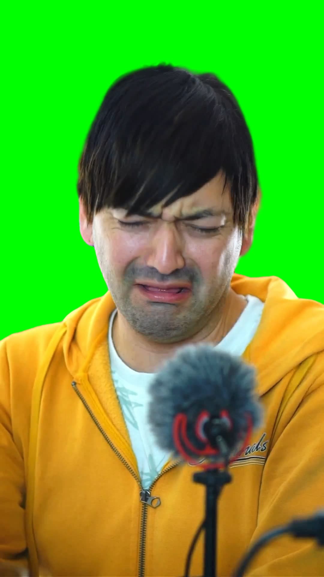 Heyselcuk "Brother what is this?" meme (Green Screen)
