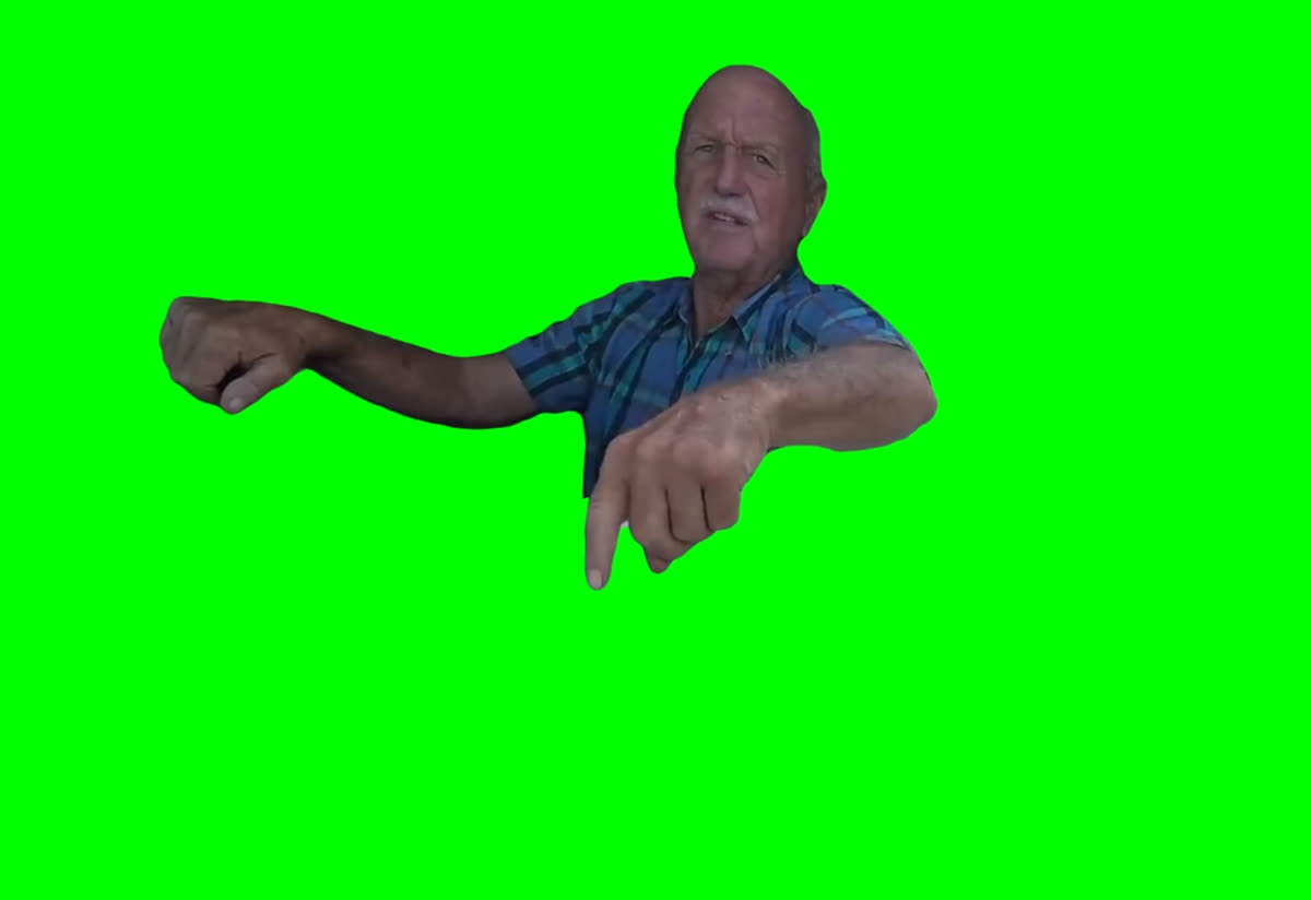 This ain't no state property, this is private property meme (Green Screen)