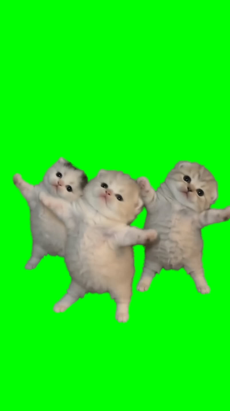 Three Kittens Dancing to Cool by Spencer & Hill meme (Green Screen)