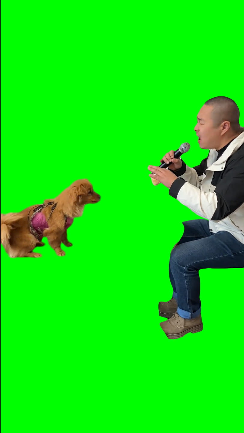 Chinese Man Singing with his Dog meme  (Green Screen)